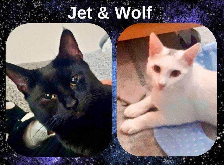 Image of JET AND WOLF 