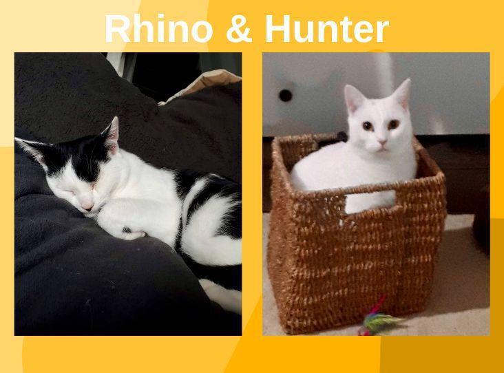 Image of RHINO AND HUNTER 