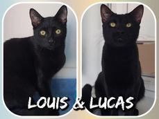 LOUIS AND LUCAS