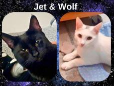 JET AND WOLF 