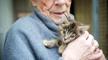 Fosterer volunteer with cat © Jim Poyner photograph