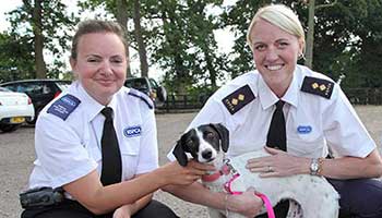RSPCA Inspectors with rescue dog © RSPCA