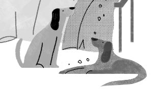 Responsive Image