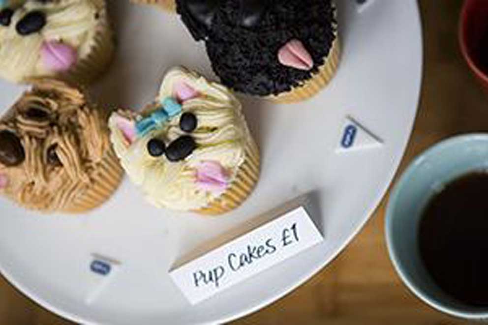 Dog themed iced cupcakes on a serving plate.
