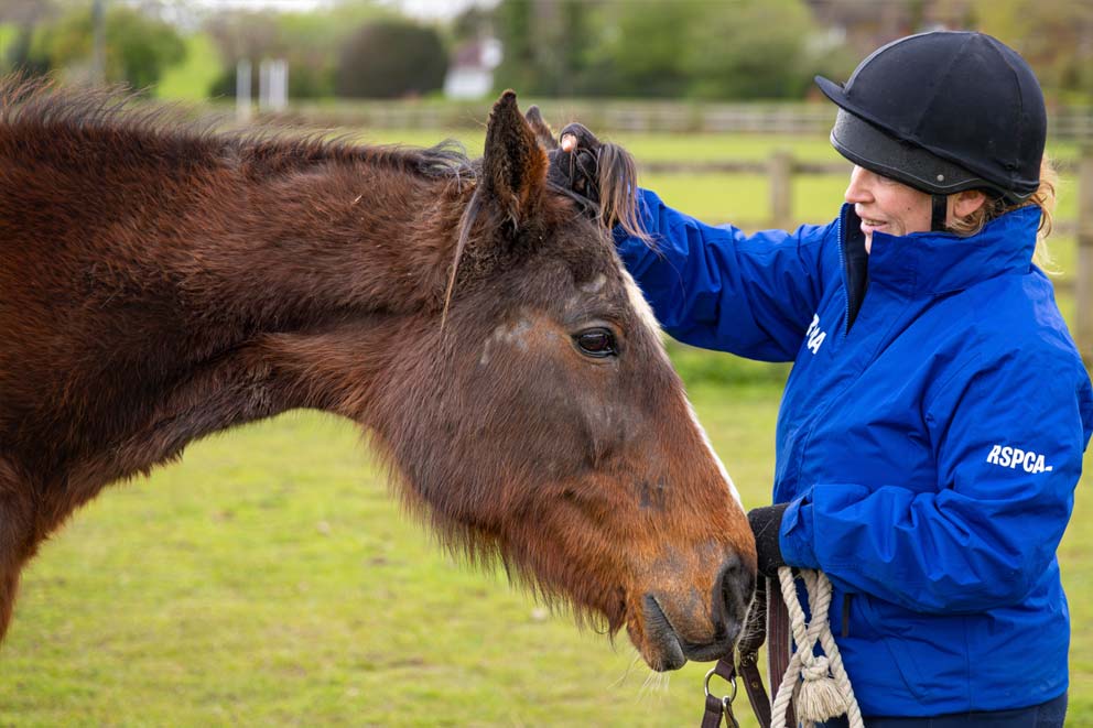 Stable Supervisor Charlotte Neary with a pony at RSPCA Millbrook Animal Centre.