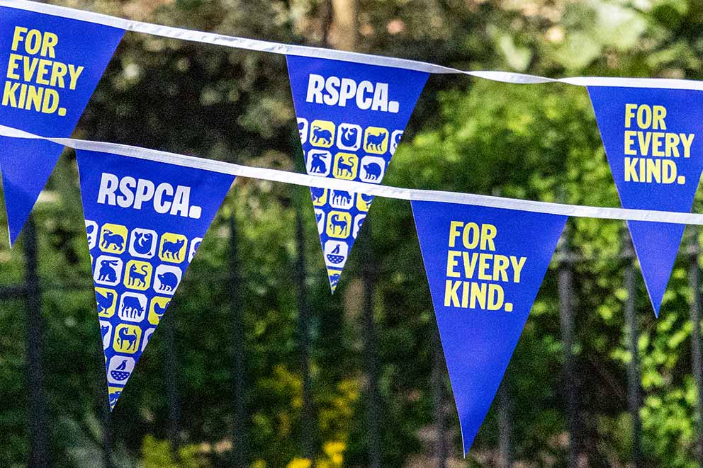 RSPCA and For Every Kind branded bunting.