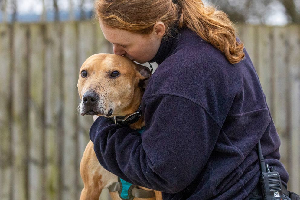 RSPCA staff member comforting and embracing a rescued dog at an animal rescue centre.