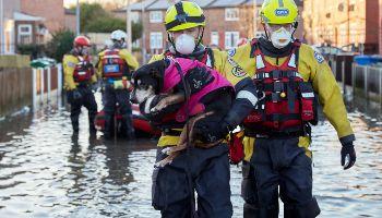 RSPCA animal rescue officers carrying a dog rescued from flood water