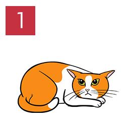 Cat illustration demonstrating angry by lying down with ears flattened.