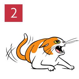 Cat illustration demonstrating an angry cat with ears back and tail waving.