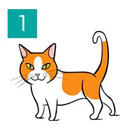 Cat standing illustration showing happy.