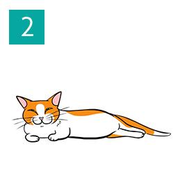 Illustration of a cat lying down demonstrating that their happy.