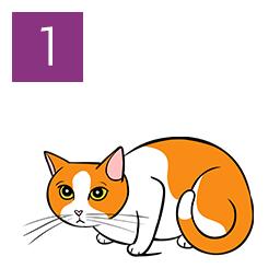 An illustration of a cat demonstrating that they're worried by crouching.