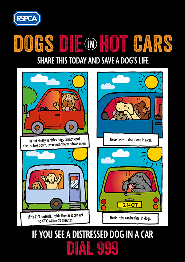 Dogs die in hot cars - share this today and save a dog's life. If you see a dog in a car on a warm day, call 999