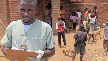 Community and animals waiting for treatment outside LSPCA mobile clinic in Malawi