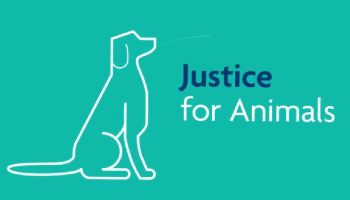 Justice for animals