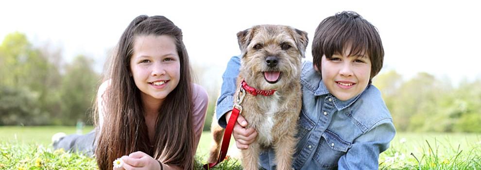 Smiling girl and boy lying on the grass holding a terrier type dog in the middle .