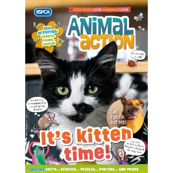 Animal Action summer magazine