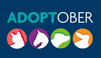 Adoptober logo © RSPCA