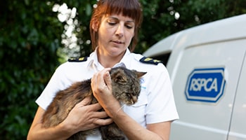 Animal rescue officer © RSPCA