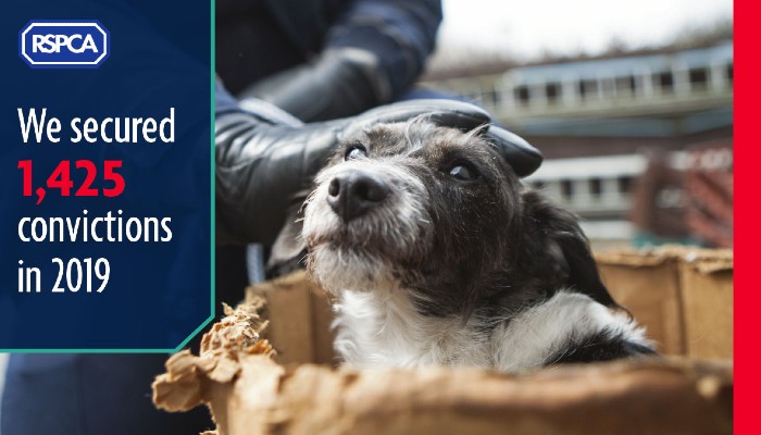 1,425 secured convictions in 2019 © RSPCA