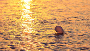 Single balloon in the ocean © Canva