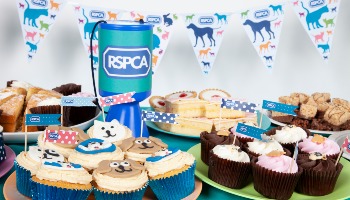 Fundraising resources and downloads © RSPCA