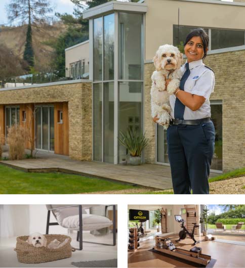 montage image showing a contemporary hallway and white kitten and dog with rspca inspector, owner and dog© RSPCA