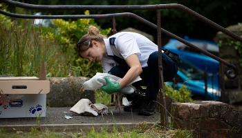 RSPCA inspector rescuing a gull © RSPCA