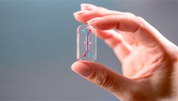Mouse © istockphoto.com-dra_schwartz and Organ-on-a-chip © Emulate