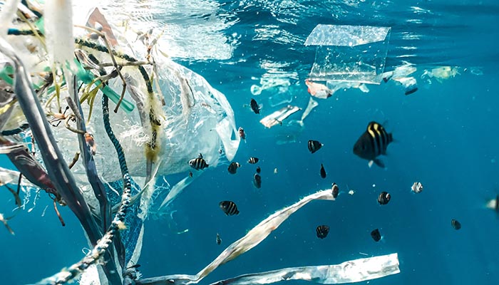 Plastic in the sea with fish by Naja Bertolt Jensen