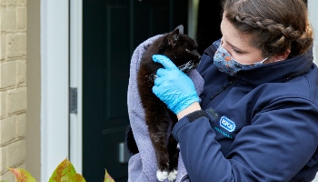 Cat rescued by RSPCA © RSPCA