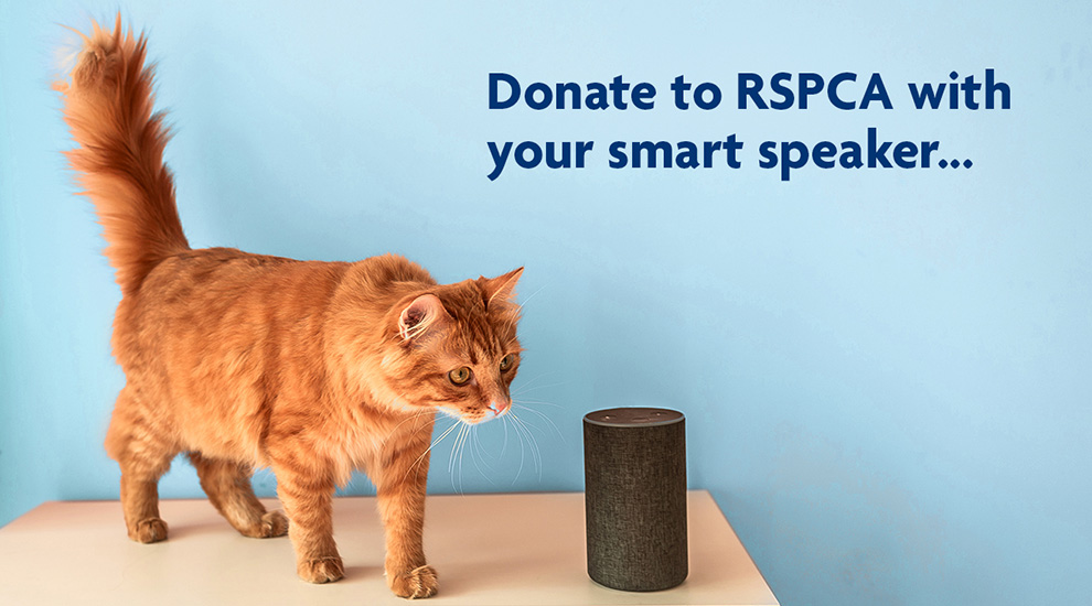 How to donate with your smart speaker