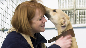 woman being affectionate with dog © RSPCA