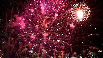 Public fireworks display © RSPCA