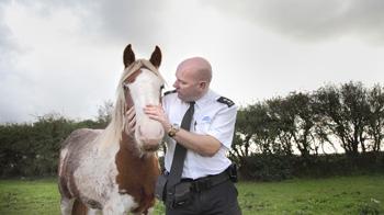 Inspector standing with brown and white horse in a field with trees