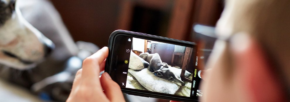 man taking a photo of dogs at home with mobile phone © RSPCA