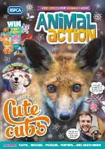 Animal action cover winter