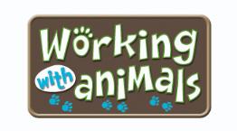 Assistant wildlife photographer jobs