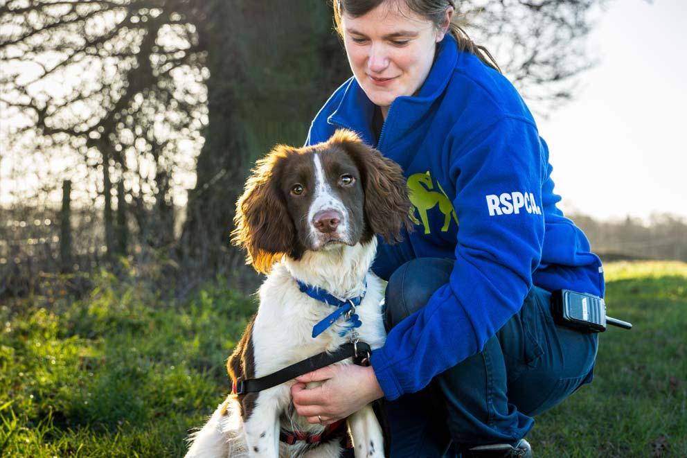 An RSPCA care assistant with a sitting spaniel outside.