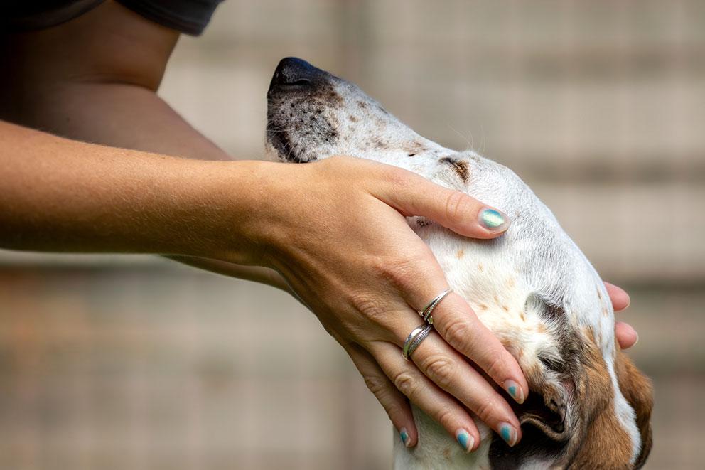 A lady embracing a dog.