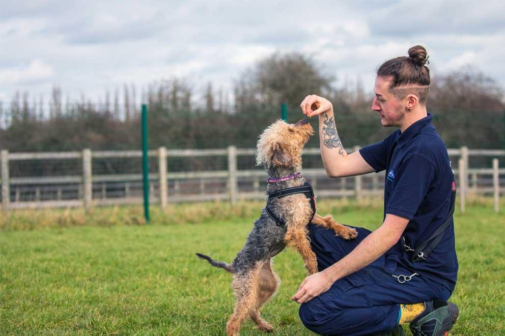 Freya with animal care assistant Adam Tasker playing in the outdoor exercise area.