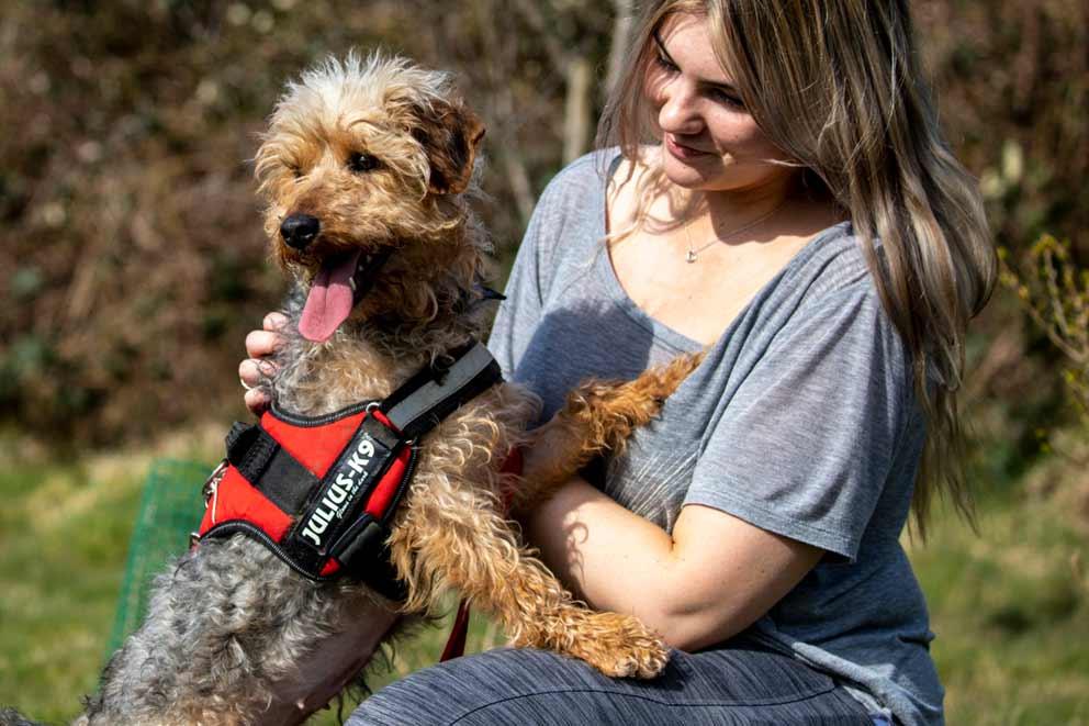 A terrier-cross breed of dog enjoying garden time with animal behaviour specialist.