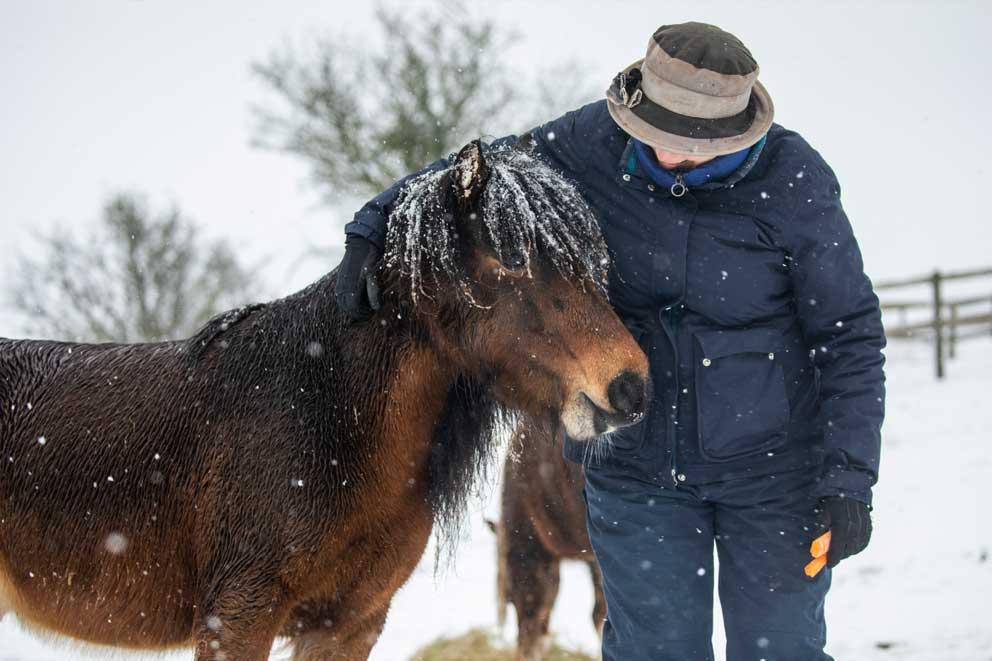 A horse in the snow with their owner.