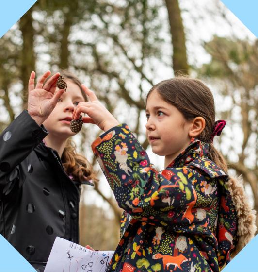 Two children holding up pinecones, with trees in the background within an octopunct shape.