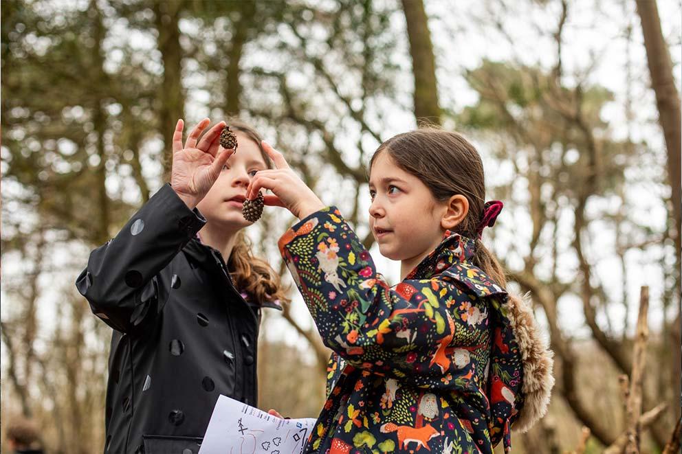 Two kids outdoors looking at pine cones.