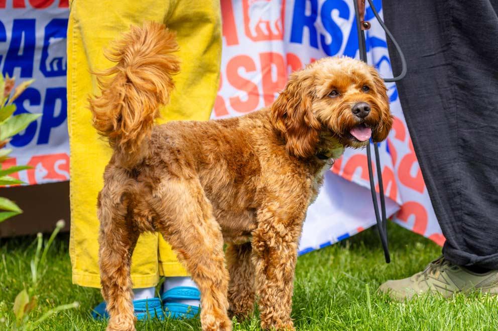 One Fun Day event hosted in Brighton, Sussex.