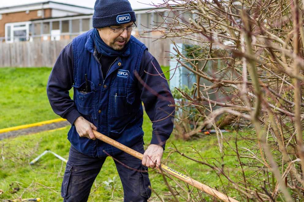 Volunteer pruning a tree in winter.