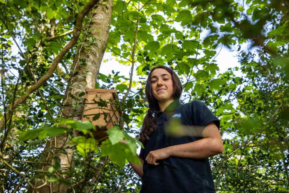 A volunteer standing next to a wooden bird box on a tree in the wood.