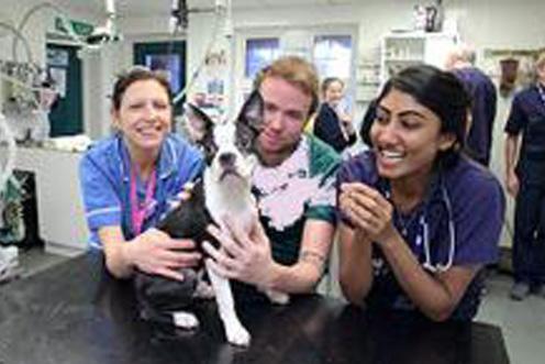 three volunteers and a dog